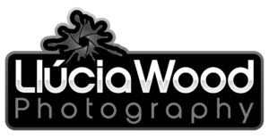 Llucia-Wood-Logo-01 copy